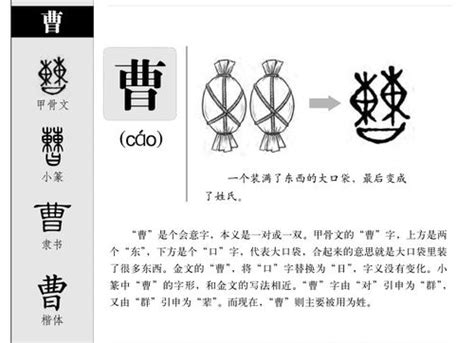 陈五行|陈字五行属金还是属火：深度解析及取名建议